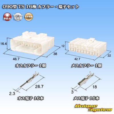 Photo1: [Sumitomo Wiring Systems] 090-type TS non-waterproof 16-pole coupler & terminal set