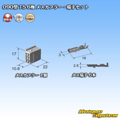 Photo4: [Sumitomo Wiring Systems] 090-type TS non-waterproof 6-pole female-coupler & terminal set