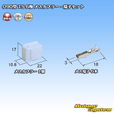 Photo1: [Sumitomo Wiring Systems] 090-type TS non-waterproof 6-pole female-coupler & terminal set