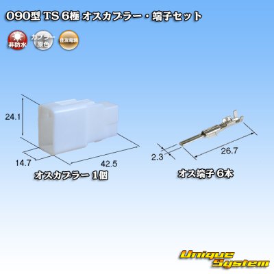 Photo1: [Sumitomo Wiring Systems] 090-type TS non-waterproof 6-pole male-coupler & terminal set