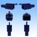 Photo2: [Sumitomo Wiring Systems] 110-type MTW non-waterproof 2-pole coupler & terminal set (blue) (2)