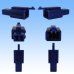 Photo2: [Sumitomo Wiring Systems] 110-type MTW non-waterproof 2-pole male-coupler & terminal set (blue) (2)