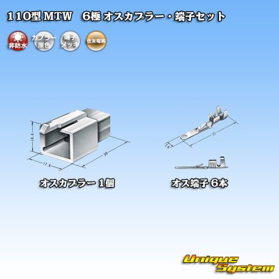 Photo4: [Sumitomo Wiring Systems] 110-type MTW non-waterproof 6-pole male-coupler & terminal set