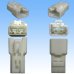 Photo3: [Sumitomo Wiring Systems] 187-type TS non-waterproof 2-pole coupler & terminal set type-1