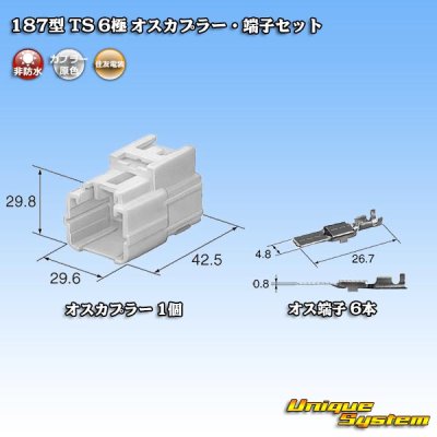 Photo5: [Sumitomo Wiring Systems] 187-type TS non-waterproof 6-pole male-coupler & terminal set