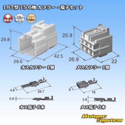 Photo8: [Sumitomo Wiring Systems] 187-type TS non-waterproof 6-pole coupler & terminal set