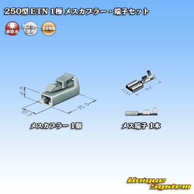 Photo4: [Sumitomo Wiring Systems] 250-type ETN non-waterproof 1-pole female-coupler & terminal set