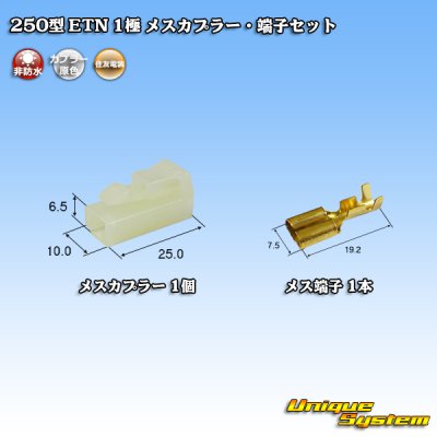 Photo1: [Sumitomo Wiring Systems] 250-type ETN non-waterproof 1-pole female-coupler & terminal set