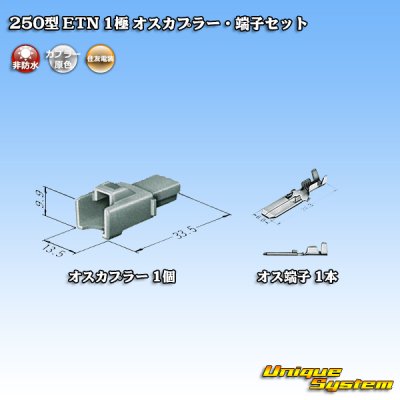 Photo4: [Sumitomo Wiring Systems] 250-type ETN non-waterproof 1-pole male-coupler & terminal set