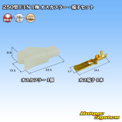 Photo1: [Sumitomo Wiring Systems] 250-type ETN non-waterproof 1-pole male-coupler & terminal set