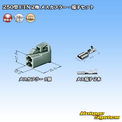 Photo4: [Sumitomo Wiring Systems] 250-type ETN non-waterproof 2-pole female-coupler & terminal set type-1