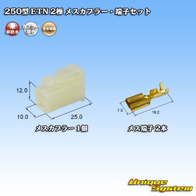 Photo1: [Sumitomo Wiring Systems] 250-type ETN non-waterproof 2-pole female-coupler & terminal set type-1