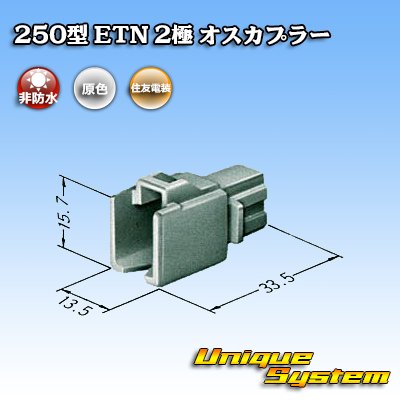 Photo3: [Sumitomo Wiring Systems] 250-type ETN non-waterproof 2-pole male-coupler type-1