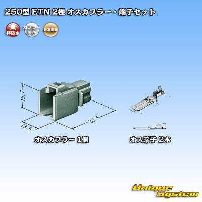 Photo4: [Sumitomo Wiring Systems] 250-type ETN non-waterproof 2-pole male-coupler & terminal set