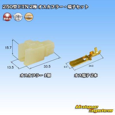 Photo1: [Sumitomo Wiring Systems] 250-type ETN non-waterproof 2-pole male-coupler & terminal set