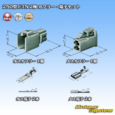 Photo5: [Sumitomo Wiring Systems] 250-type ETN non-waterproof 2-pole coupler & terminal set type-1