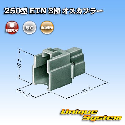Photo3: [Sumitomo Wiring Systems] 250-type ETN non-waterproof 3-pole male-coupler