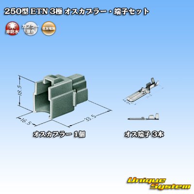 Photo4: [Sumitomo Wiring Systems] 250-type ETN non-waterproof 3-pole male-coupler & terminal set