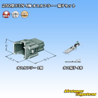 Photo4: [Sumitomo Wiring Systems] 250-type ETN non-waterproof 4-pole male-coupler & terminal set