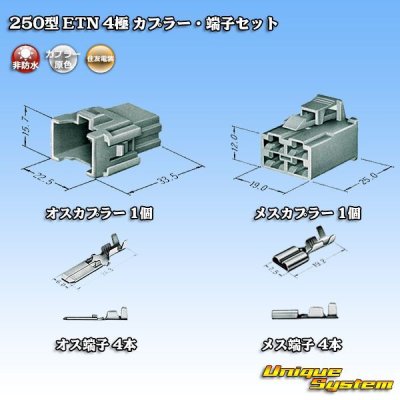 Photo5: [Sumitomo Wiring Systems] 250-type ETN non-waterproof 4-pole coupler & terminal set