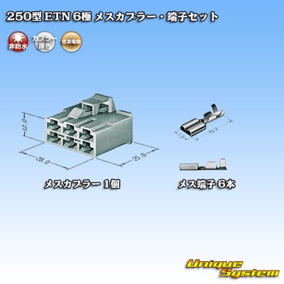 Photo4: [Sumitomo Wiring Systems] 250-type ETN non-waterproof 6-pole female-coupler & terminal set