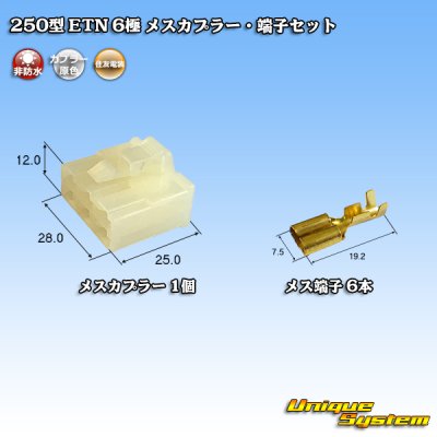 Photo1: [Sumitomo Wiring Systems] 250-type ETN non-waterproof 6-pole female-coupler & terminal set