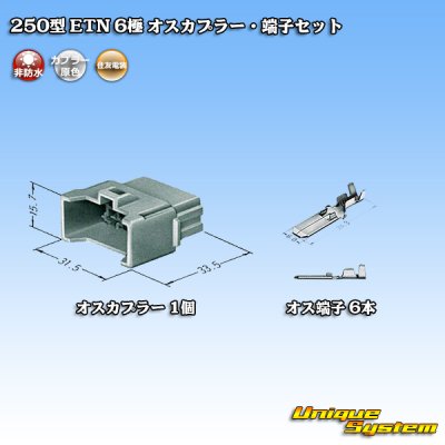 Photo4: [Sumitomo Wiring Systems] 250-type ETN non-waterproof 6-pole male-coupler & terminal set
