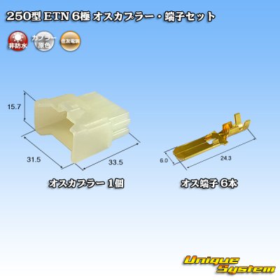 Photo1: [Sumitomo Wiring Systems] 250-type ETN non-waterproof 6-pole male-coupler & terminal set