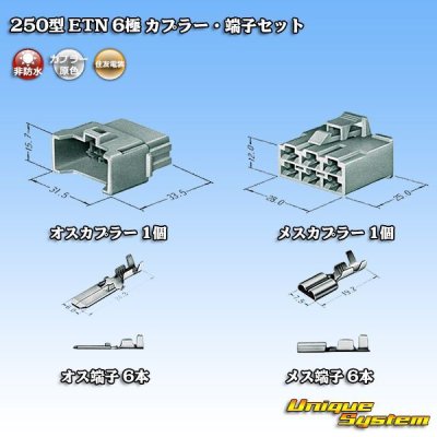 Photo5: [Sumitomo Wiring Systems] 250-type ETN non-waterproof 6-pole coupler & terminal set