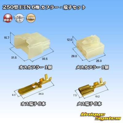 Photo1: [Sumitomo Wiring Systems] 250-type ETN non-waterproof 6-pole coupler & terminal set