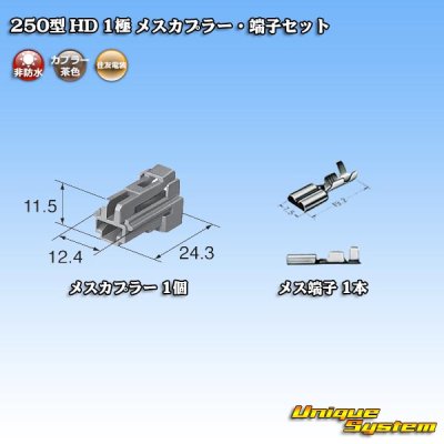 Photo4: [Sumitomo Wiring Systems] 250-type HD non-waterproof 1-pole female-coupler & terminal set