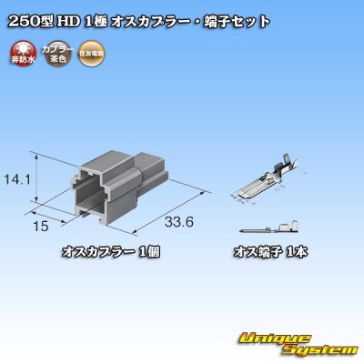 Photo4: [Sumitomo Wiring Systems] 250-type HD non-waterproof 1-pole male-coupler & terminal set