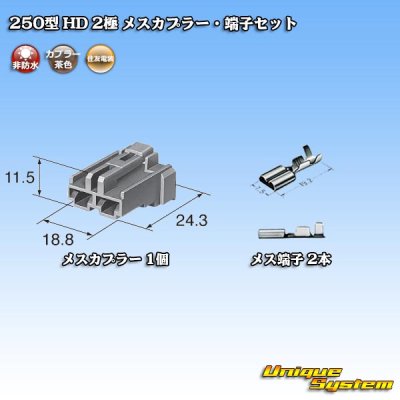 Photo4: [Sumitomo Wiring Systems] 250-type HD non-waterproof 2-pole female-coupler & terminal set