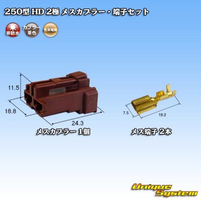 Photo1: [Sumitomo Wiring Systems] 250-type HD non-waterproof 2-pole female-coupler & terminal set