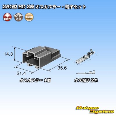 Photo4: [Sumitomo Wiring Systems] 250-type HD non-waterproof 2-pole male-coupler & terminal set