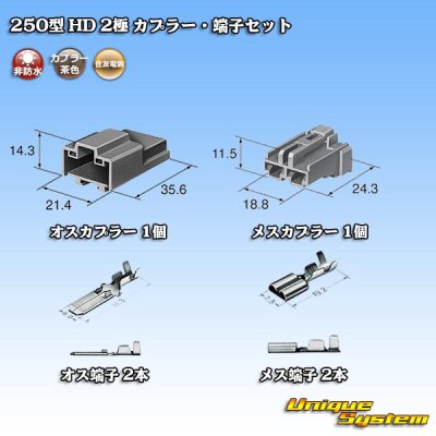 Photo5: [Sumitomo Wiring Systems] 250-type HD non-waterproof 2-pole coupler & terminal set