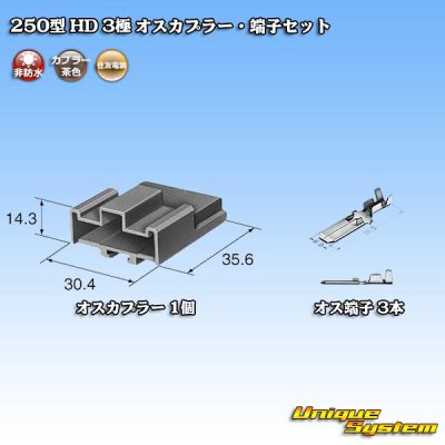 Photo5: [Sumitomo Wiring Systems] 250-type HD non-waterproof 3-pole male-coupler & terminal set