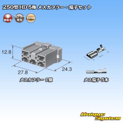 Photo5: [Sumitomo Wiring Systems] 250-type HD non-waterproof 5-pole female-coupler & terminal set