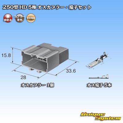 Photo5: [Sumitomo Wiring Systems] 250-type HD non-waterproof 5-pole male-coupler & terminal set