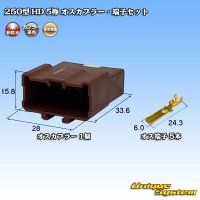 [Sumitomo Wiring Systems] 250-type HD non-waterproof 5-pole male-coupler & terminal set