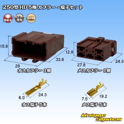 Photo1: [Sumitomo Wiring Systems] 250-type HD non-waterproof 5-pole coupler & terminal set