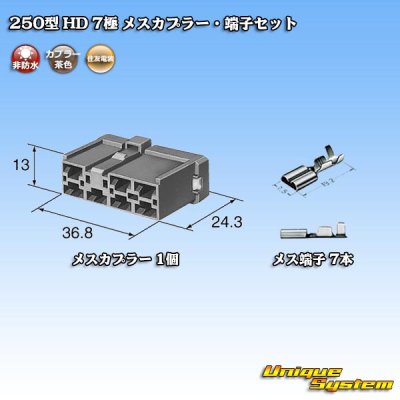 Photo5: [Sumitomo Wiring Systems] 250-type HD non-waterproof 7-pole female-coupler & terminal set