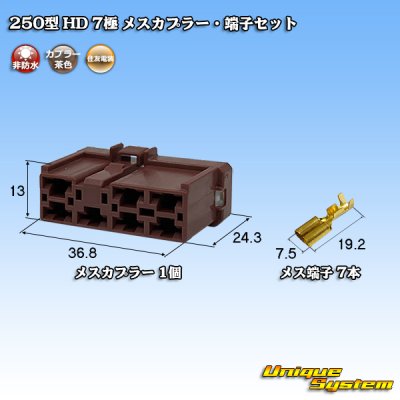 Photo1: [Sumitomo Wiring Systems] 250-type HD non-waterproof 7-pole female-coupler & terminal set