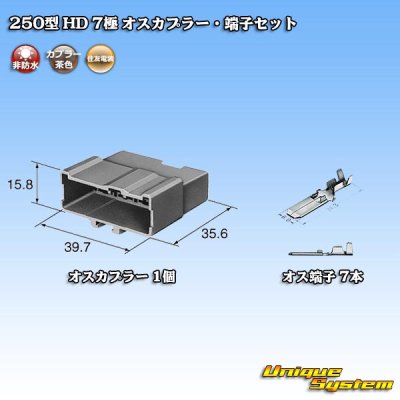 Photo5: [Sumitomo Wiring Systems] 250-type HD non-waterproof 7-pole male-coupler & terminal set