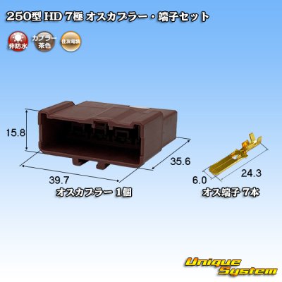 Photo1: [Sumitomo Wiring Systems] 250-type HD non-waterproof 7-pole male-coupler & terminal set