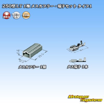 Photo4: [Sumitomo Wiring Systems] 250-type LT non-waterproof 1-pole female-coupler & terminal set type-1