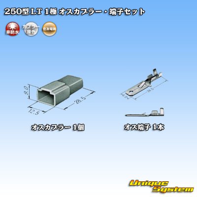 Photo4: [Sumitomo Wiring Systems] 250-type LT non-waterproof 1-pole male-coupler & terminal set