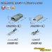 Photo5: [Sumitomo Wiring Systems] 250-type LT non-waterproof 1-pole coupler & terminal set type-2 (5)