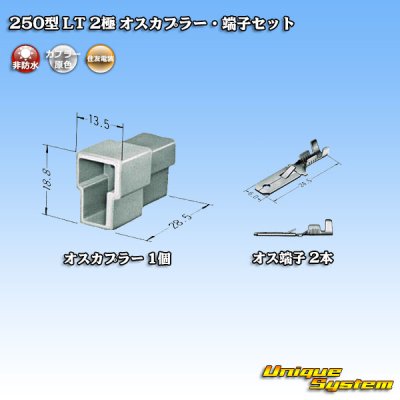 Photo4: [Sumitomo Wiring Systems] 250-type LT non-waterproof 2-pole male-coupler & terminal set