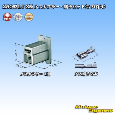 Photo4: [Sumitomo Wiring Systems] 250-type LT non-waterproof 3-pole female-coupler & terminal set (with brim)